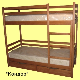 Кондор.jpg