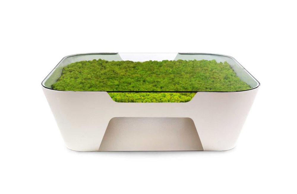 Moss Table.jpg