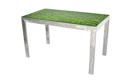 stainless steel table with moss.jpg