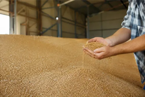 agrospravka.webp